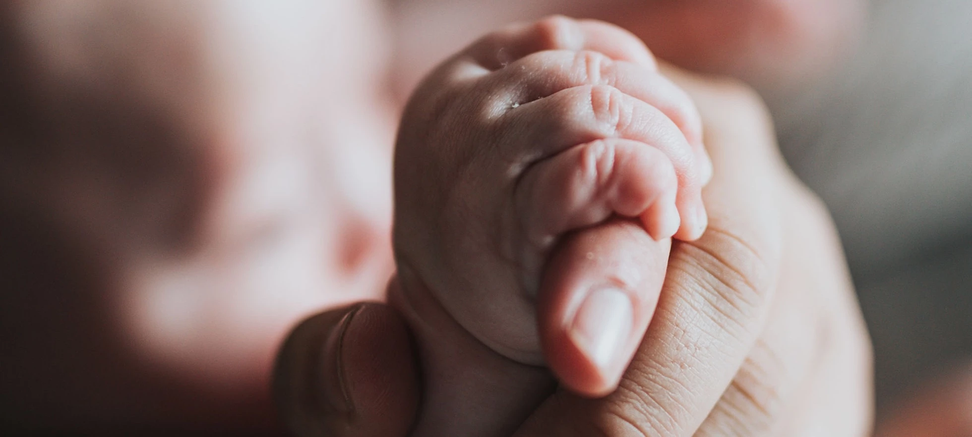 Cum să folosești Winner Flow în sarcină și naștere: povestea ta de la primul test pozitiv până la recuperarea post-partum
